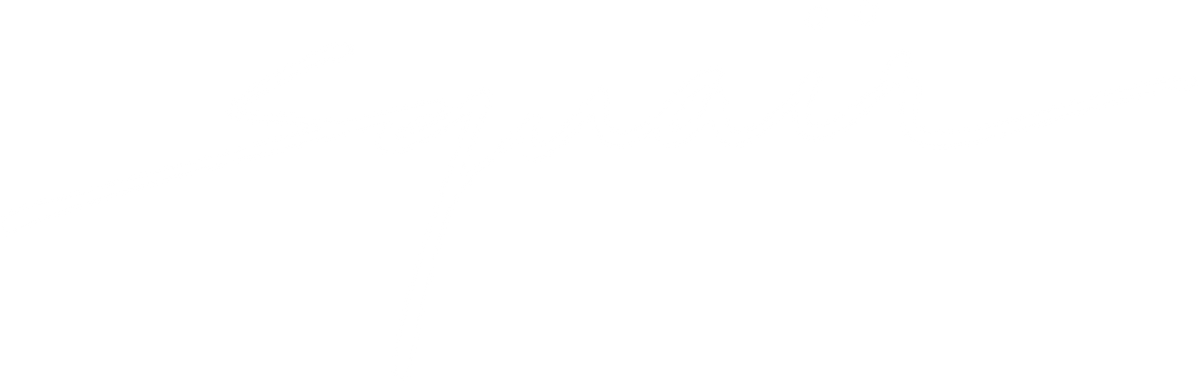 Slideshow overlay