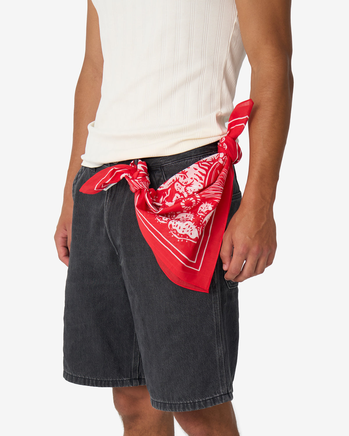 DUST AND THUNDER | Squaïr Red | 66 cm